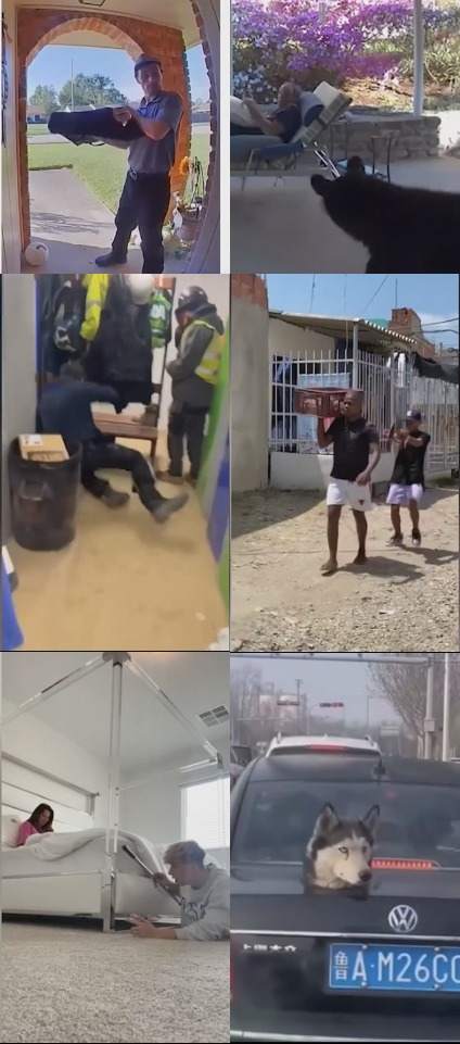 【30款】国外恶搞失误搞笑视频素材