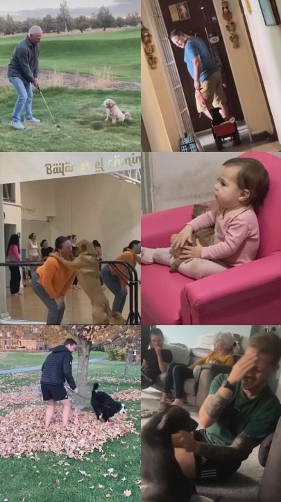【20款】国外宠物可爱搞笑视频素材