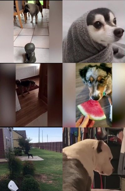 【20款】国外搞笑街头恶搞失误视频素材