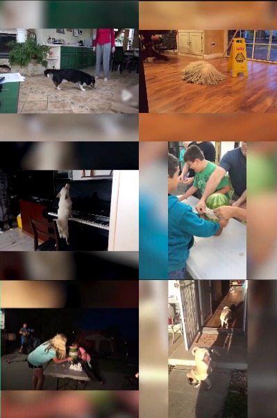 【20款】国外搞笑街头恶搞失误视频素材