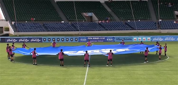 【8328款】横屏历届世界杯FIFA比赛实拍足球高燃片段集锦视频素材 第9张