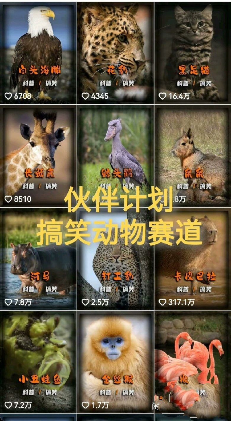 动物解说奇趣小世界动物搞笑视频素材 附全套动物解说教程 第1张