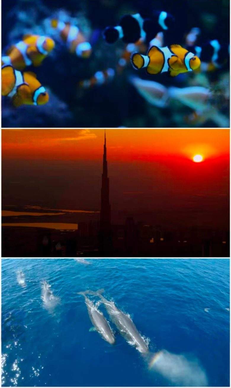 【1300款】可商用无版权天空海洋旅行星空城市风景短视频素材 第4张